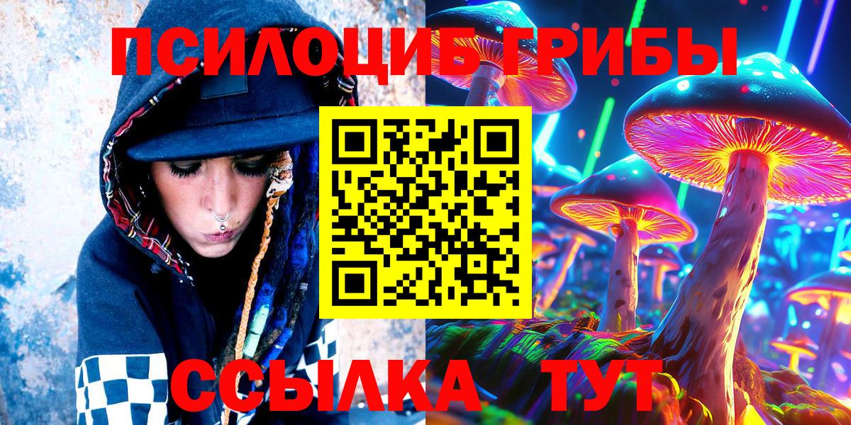 Галлюциногенные грибы Psilocybe Белая Калитва