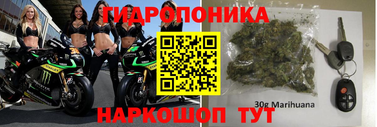 Каннабис AK-47  Вход с VPN  Белая Калитва  Бошки Шишки сатива 